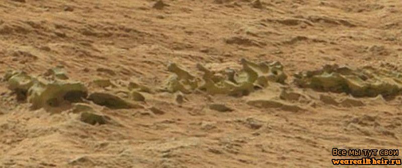 Знаменитый марсианский артефакт в виде хребета животного